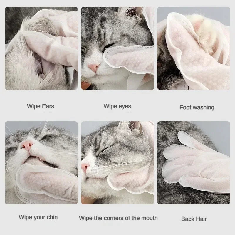 6pcs Pet Disposable Gloves Cat Dog Wipes No Rinse Washing Gloves Grooming Pet Cat Dog Ear Eye Cleaning Deodorizing Gloves Wipes
