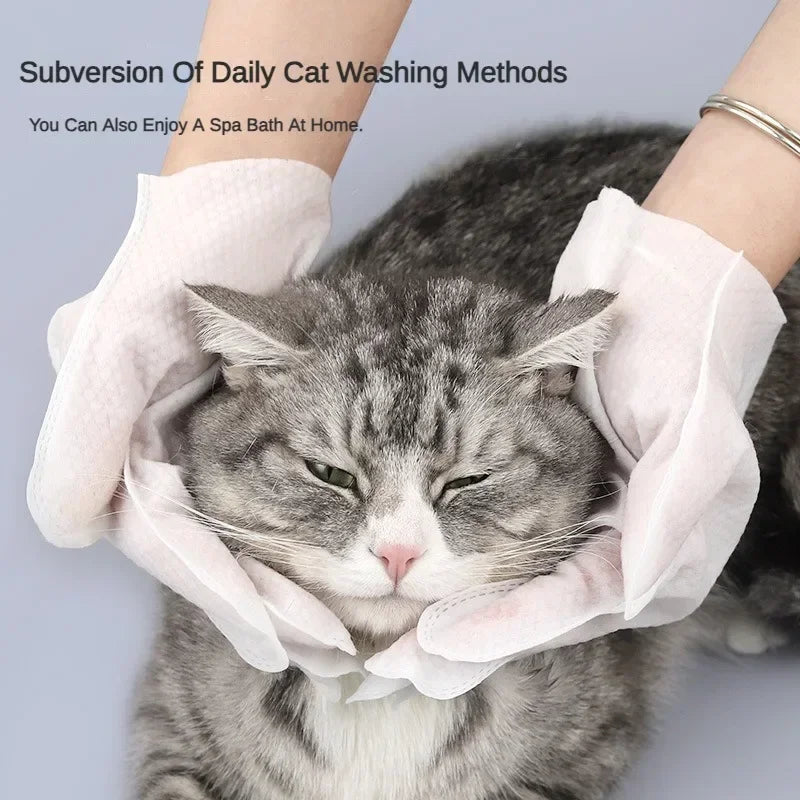 6pcs Pet Disposable Gloves Cat Dog Wipes No Rinse Washing Gloves Grooming Pet Cat Dog Ear Eye Cleaning Deodorizing Gloves Wipes